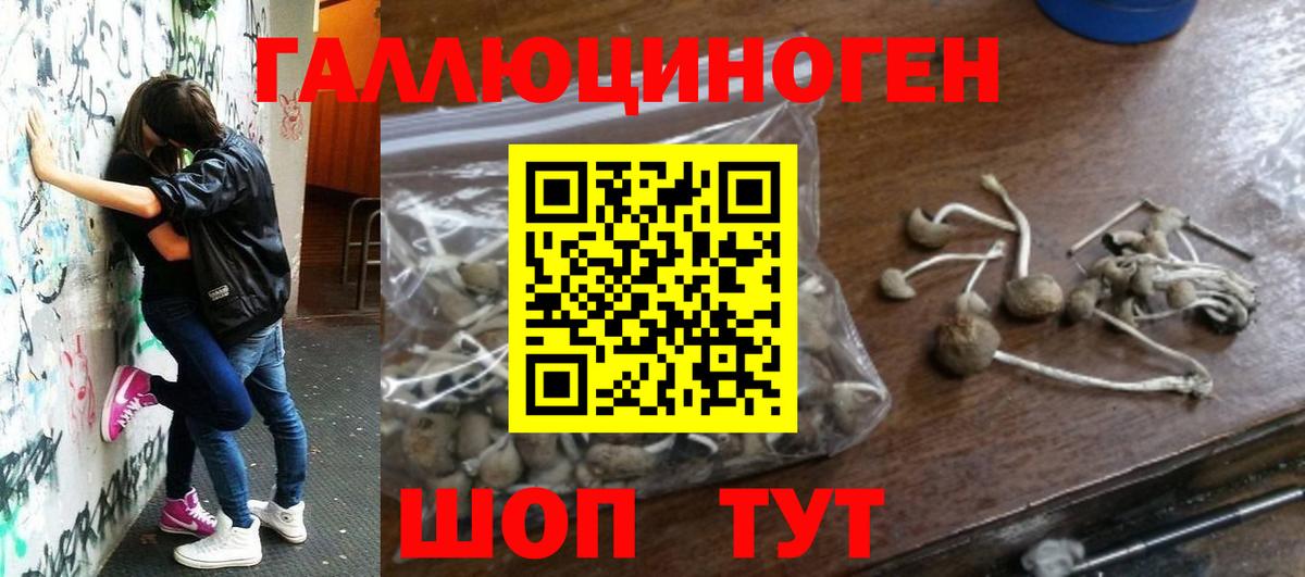 A-PVP СК   Рубцовск  Каннабис  Вход с VPN  Меф   Кокаин  Гашиш 